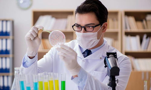 中國生物合成人乳寡糖技術領跑世界，恒魯生物獲華耀資本戰略投資助力技術推廣