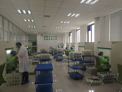 夏莊、賀店工作隊赴蘭考考察構樹產業扶貧項目 技術推廣助力鄉村振興